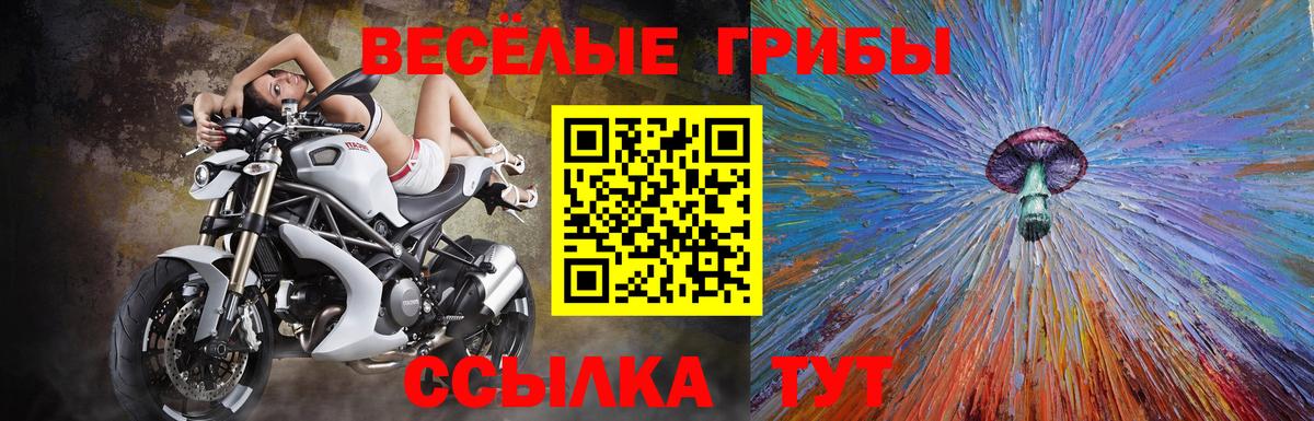 Тулун  даркнет сайт  Вход с VPN  Псилоцибиновые грибы Cubensis 